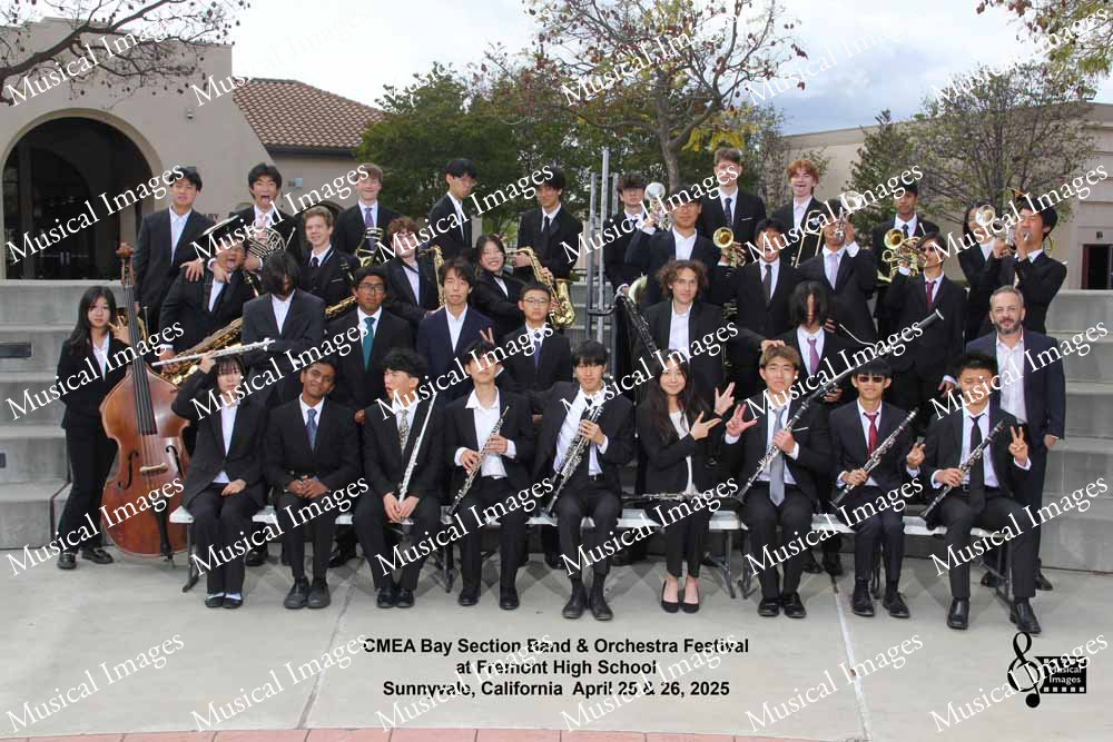 Musical Images